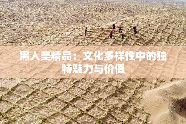 黑人美精品：文化多样性中的独特魅力与价值