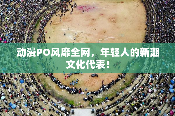 动漫PO风靡全网，年轻人的新潮文化代表！