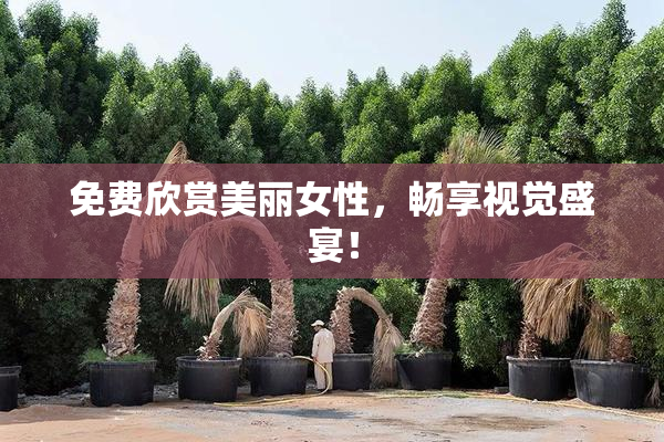 免费欣赏美丽女性，畅享视觉盛宴！