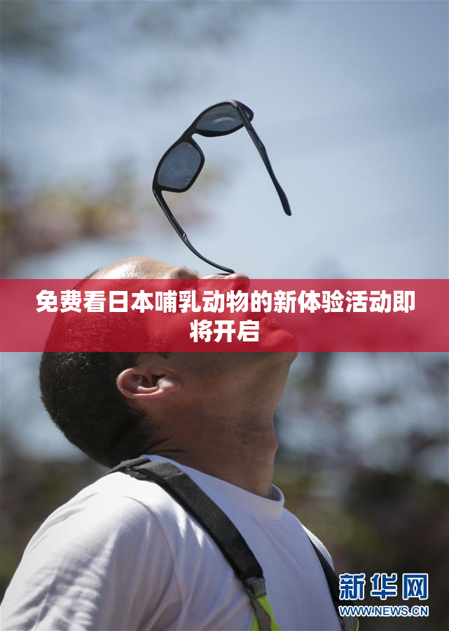 免费看日本哺乳动物的新体验活动即将开启