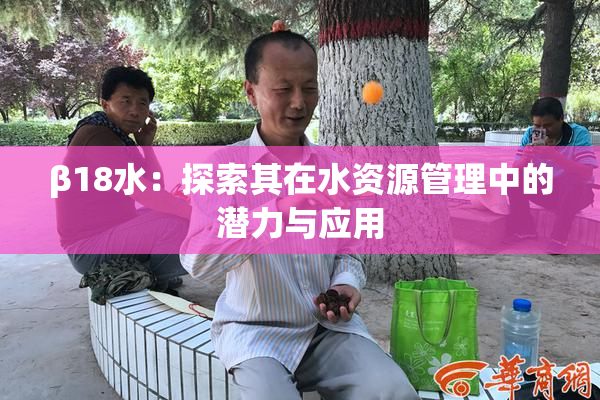 β18水：探索其在水资源管理中的潜力与应用