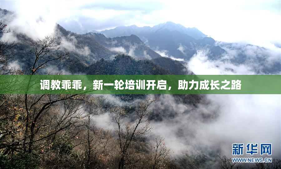 调教乖乖，新一轮培训开启，助力成长之路