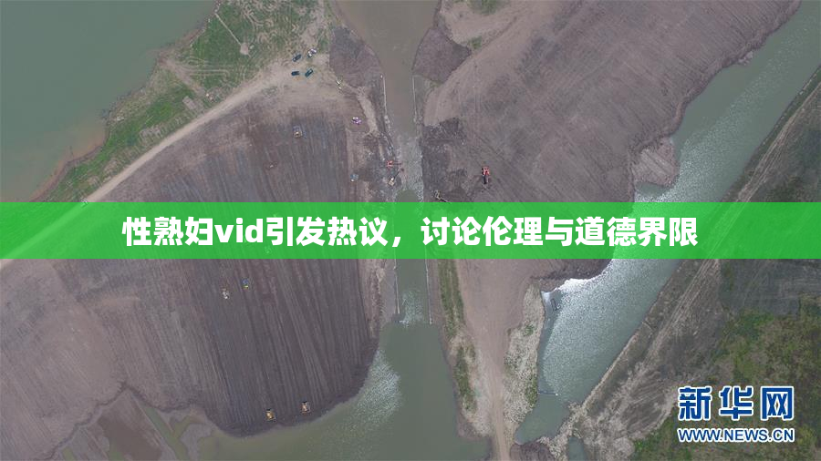 性熟妇vid引发热议，讨论伦理与道德界限
