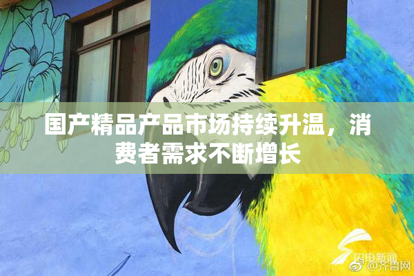 国产精品产品市场持续升温，消费者需求不断增长