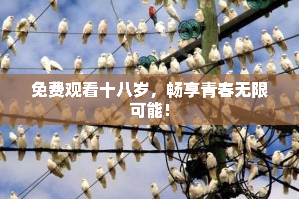 免费观看十八岁，畅享青春无限可能！
