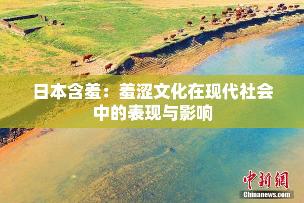 日本含羞：羞涩文化在现代社会中的表现与影响