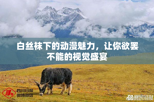 白丝袜下的动漫魅力，让你欲罢不能的视觉盛宴