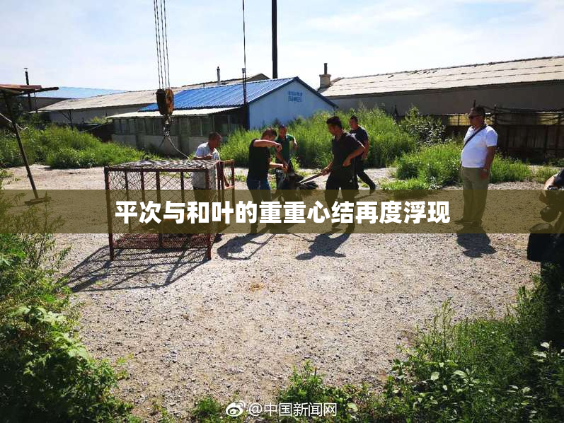 平次与和叶的重重心结再度浮现
