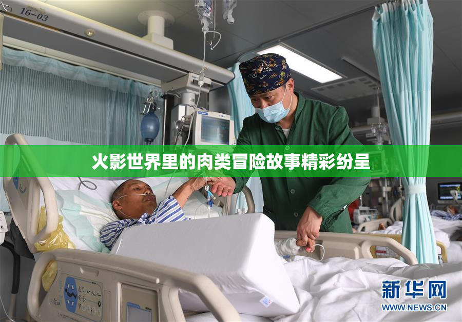 火影世界里的肉类冒险故事精彩纷呈