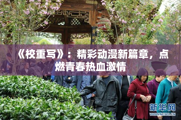 《校重写》：精彩动漫新篇章，点燃青春热血激情