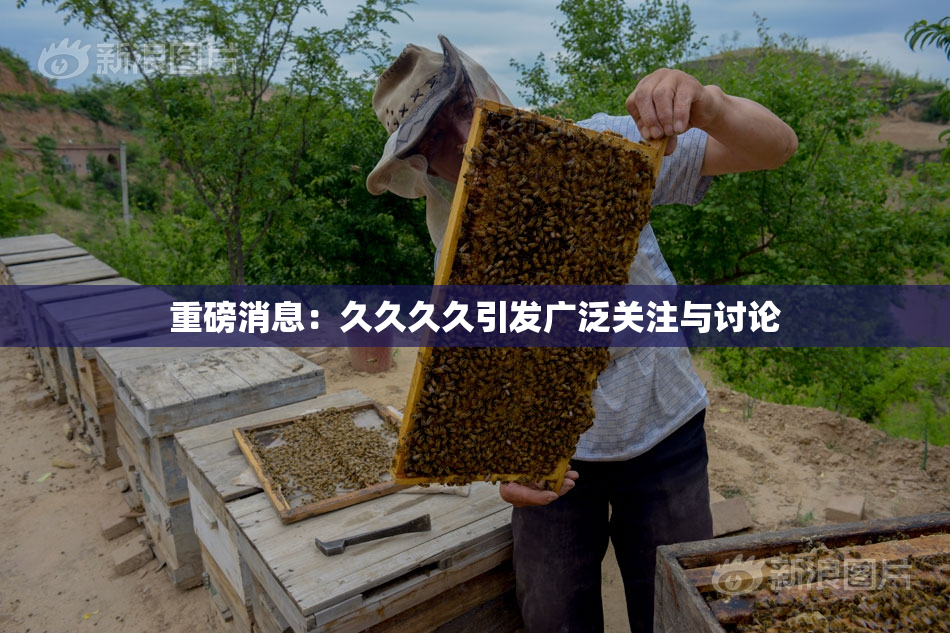 重磅消息：久久久久引发广泛关注与讨论