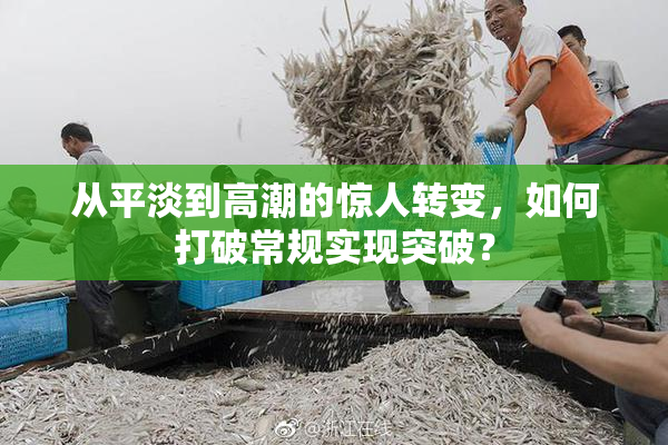 从平淡到高潮的惊人转变，如何打破常规实现突破？
