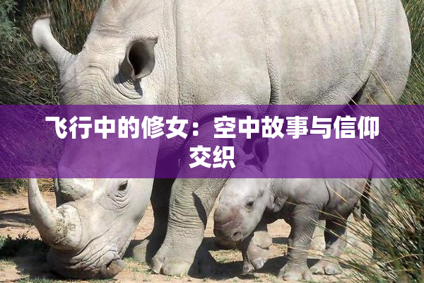 飞行中的修女：空中故事与信仰交织