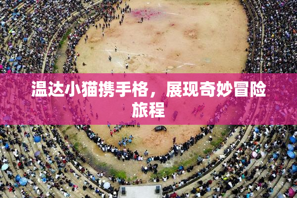温达小猫携手格，展现奇妙冒险旅程