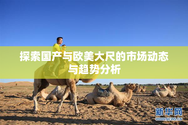 探索国产与欧美大尺的市场动态与趋势分析