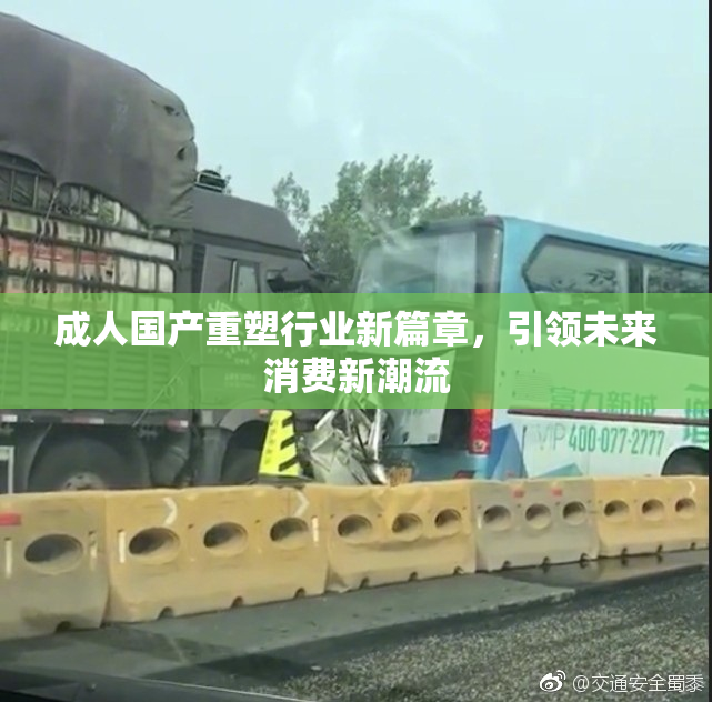 成人国产重塑行业新篇章，引领未来消费新潮流