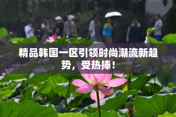 精品韩国一区引领时尚潮流新趋势，受热捧！