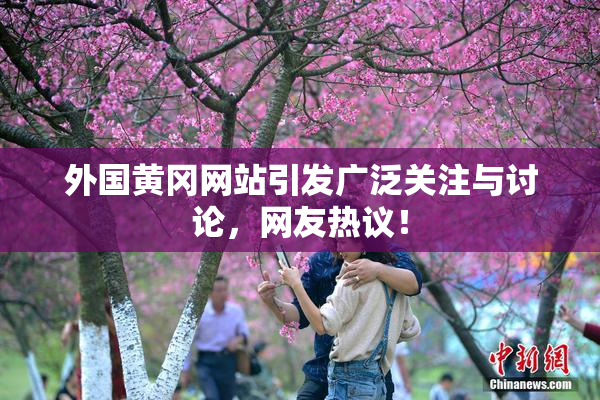 外国黄冈网站引发广泛关注与讨论，网友热议！