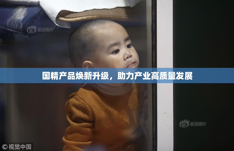国精产品焕新升级，助力产业高质量发展