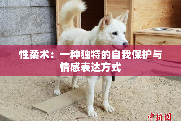 性柔术：一种独特的自我保护与情感表达方式