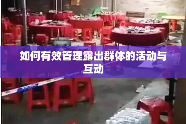 如何有效管理露出群体的活动与互动