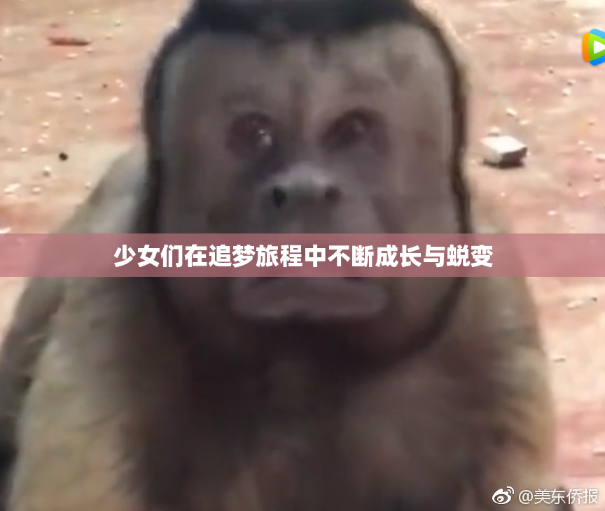 少女们在追梦旅程中不断成长与蜕变