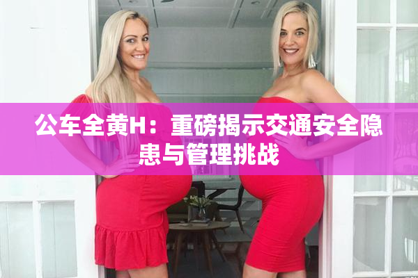公车全黄H：重磅揭示交通安全隐患与管理挑战