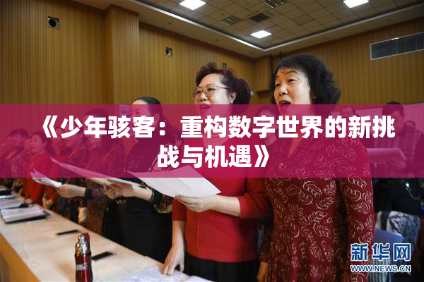 《少年骇客：重构数字世界的新挑战与机遇》