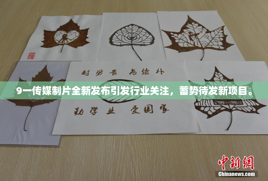 9一传媒制片全新发布引发行业关注，蓄势待发新项目。