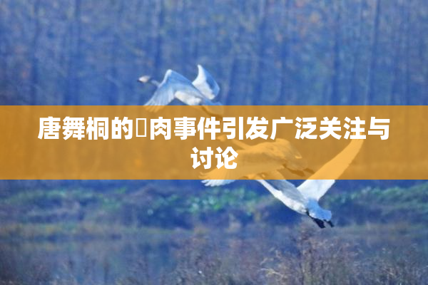 唐舞桐的婬肉事件引发广泛关注与讨论