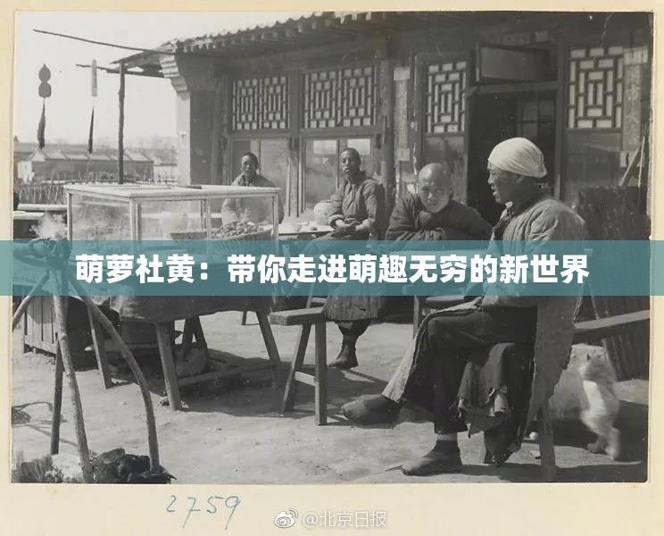 萌萝社黄：带你走进萌趣无穷的新世界