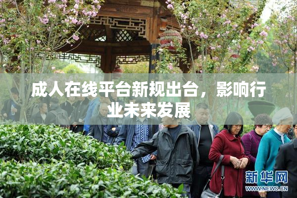 成人在线平台新规出台，影响行业未来发展