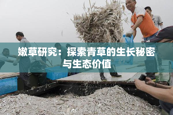 嫩草研究：探索青草的生长秘密与生态价值