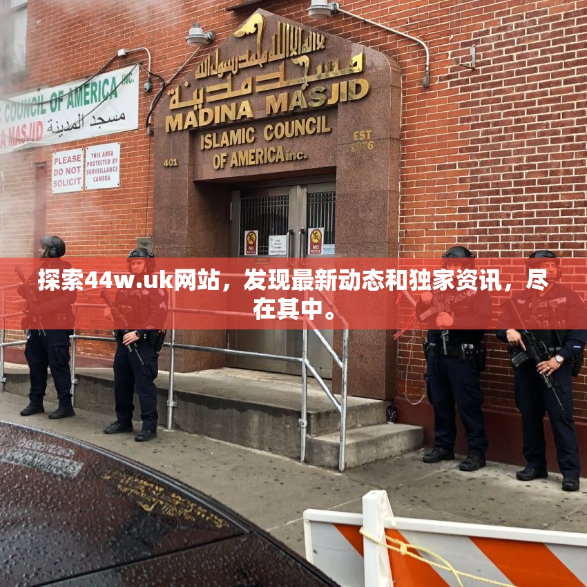 探索44w.uk网站，发现最新动态和独家资讯，尽在其中。