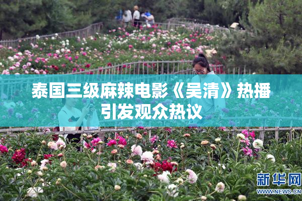 泰国三级麻辣电影《吴清》热播引发观众热议