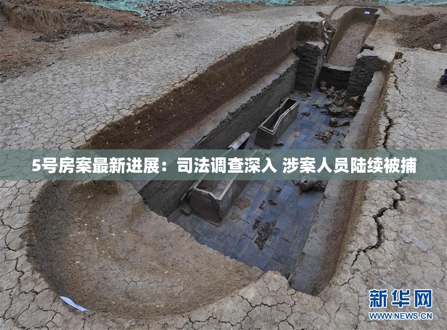5号房案最新进展：司法调查深入 涉案人员陆续被捕