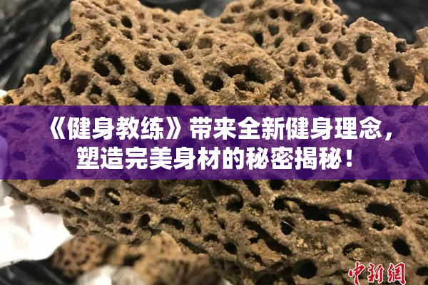 《健身教练》带来全新健身理念，塑造完美身材的秘密揭秘！