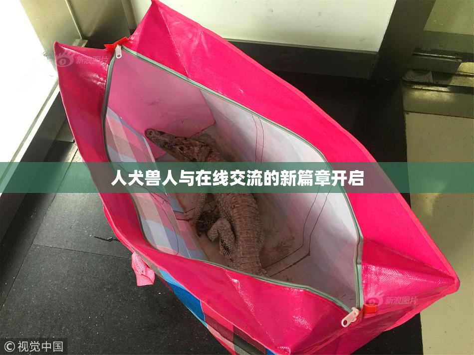 人犬兽人与在线交流的新篇章开启