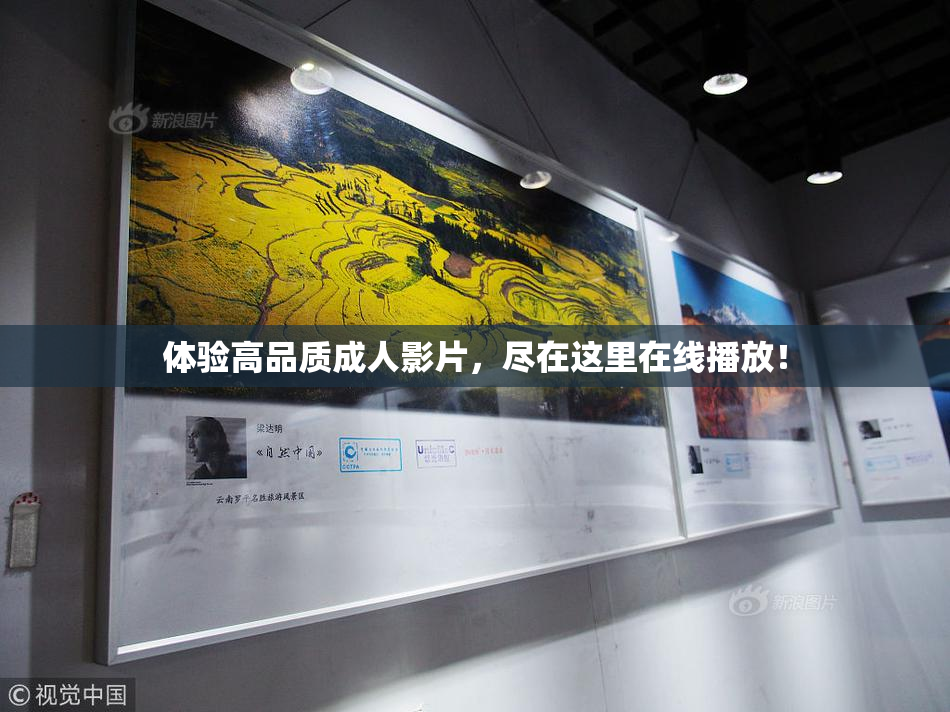 体验高品质成人影片，尽在这里在线播放！