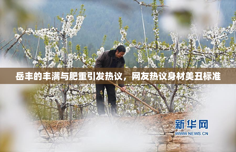岳丰的丰满与肥重引发热议，网友热议身材美丑标准