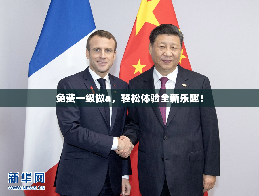 免费一级做a，轻松体验全新乐趣！
