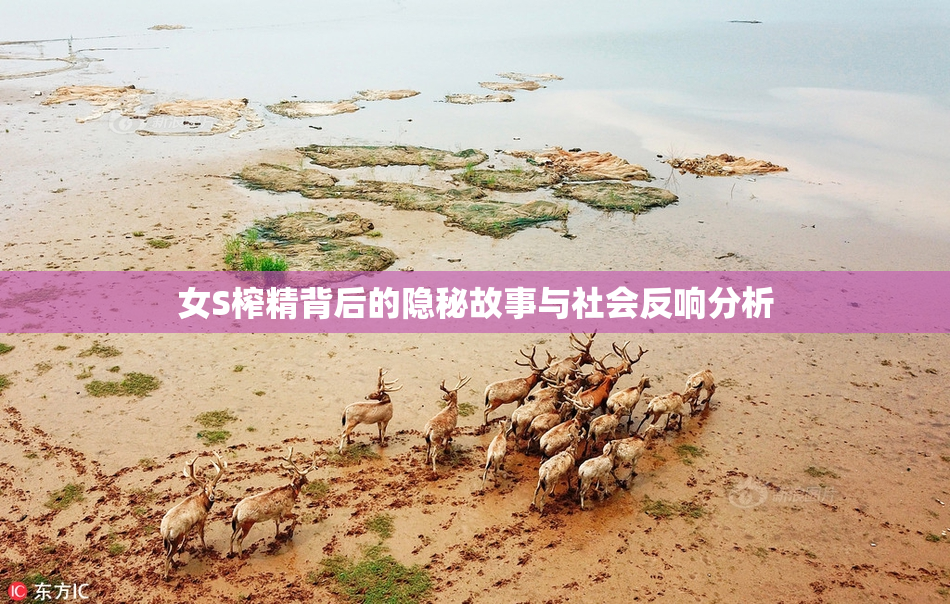 女S榨精背后的隐秘故事与社会反响分析