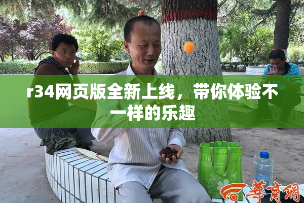 r34网页版全新上线，带你体验不一样的乐趣