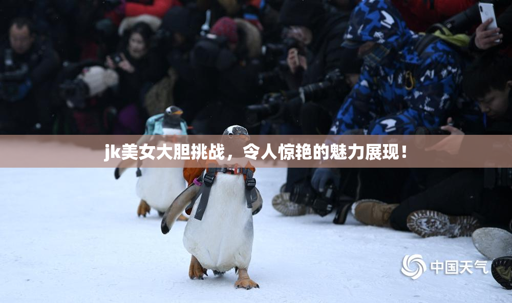 jk美女大胆挑战，令人惊艳的魅力展现！