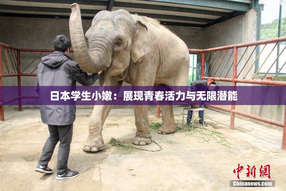 日本学生小嫩：展现青春活力与无限潜能