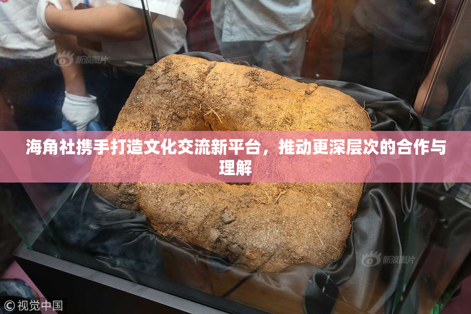 海角社携手打造文化交流新平台，推动更深层次的合作与理解
