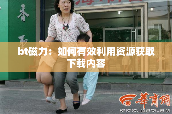 bt磁力：如何有效利用资源获取下载内容