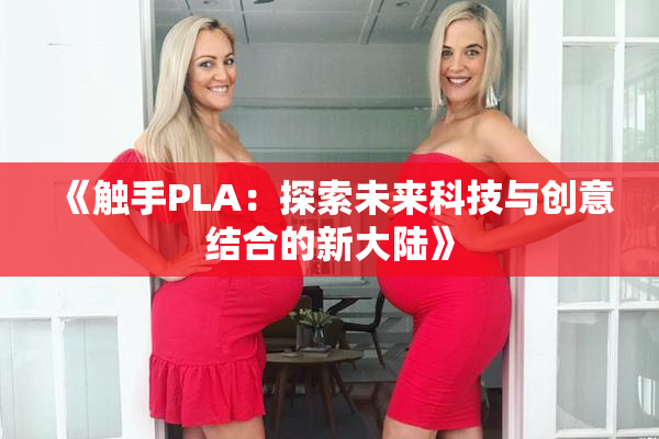《触手PLA：探索未来科技与创意结合的新大陆》