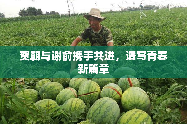 贺朝与谢俞携手共进，谱写青春新篇章