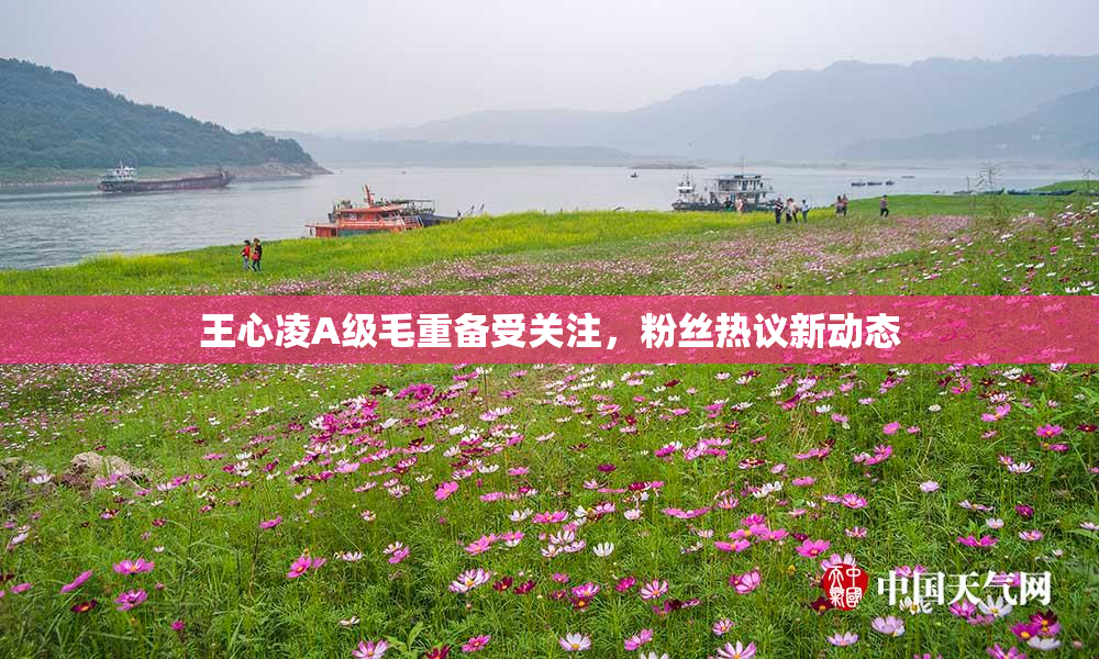 王心凌A级毛重备受关注，粉丝热议新动态